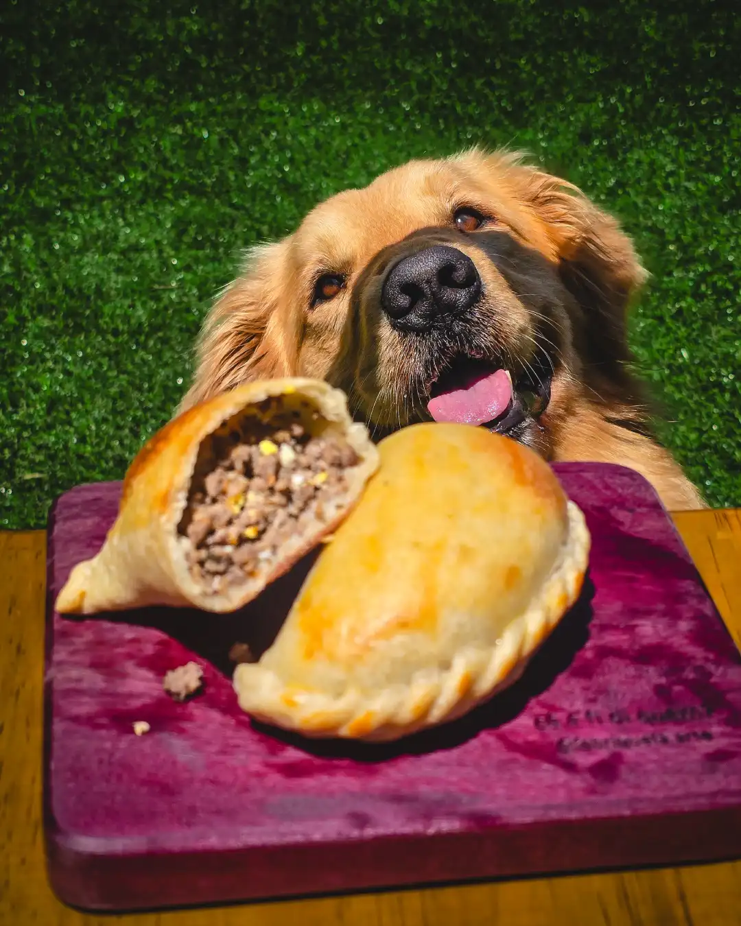 Eva, mascote do Pepe